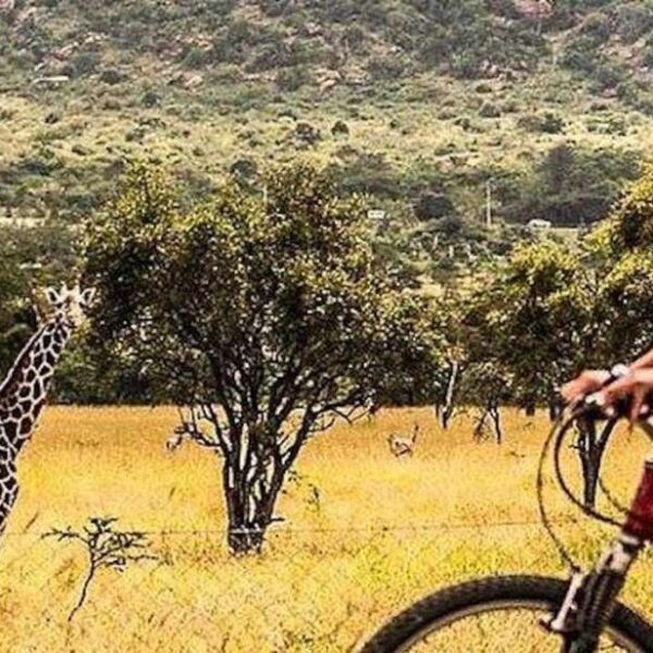 8 Day African Bike Tour